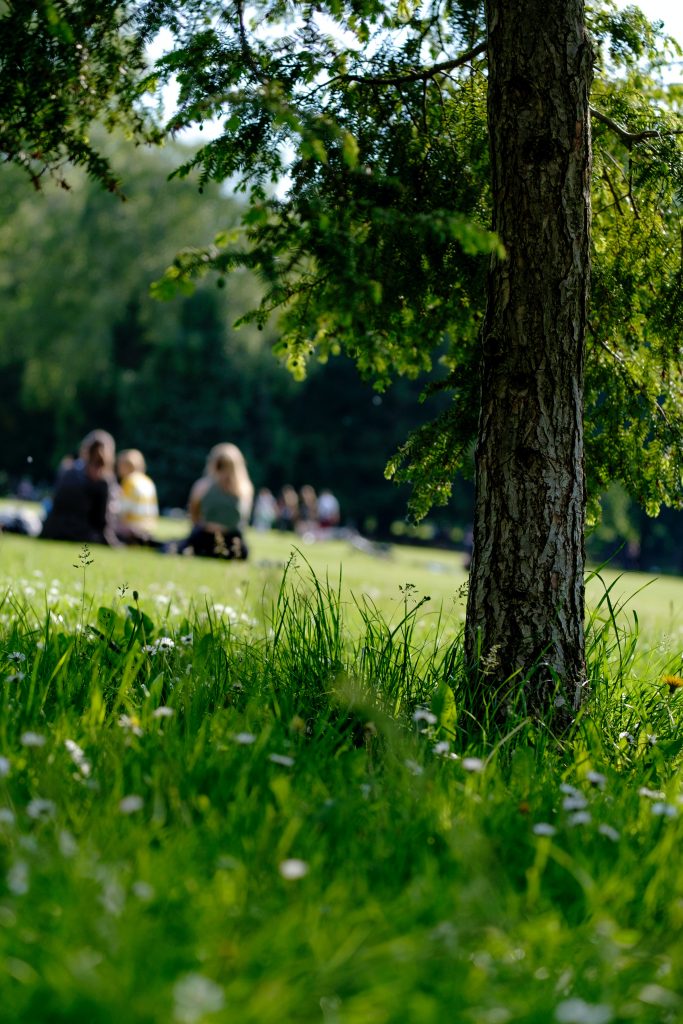Peaceful image of people in a green park space